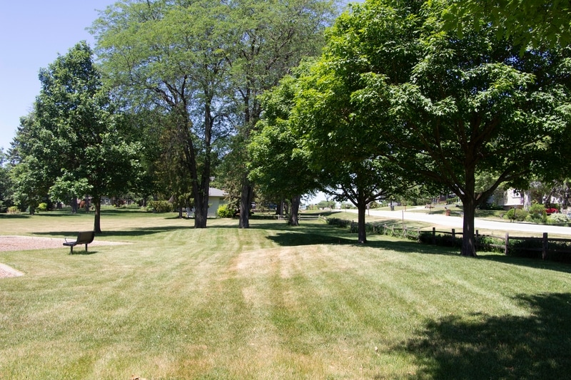 Roselle Park District (RPD)